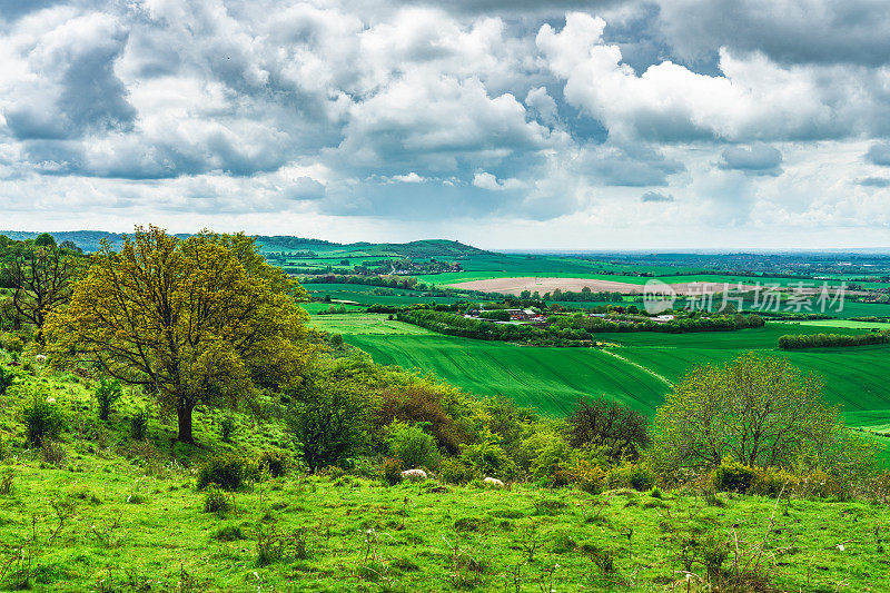 英国邓斯特布尔唐斯，夏天阴天从山上看到的英国风景