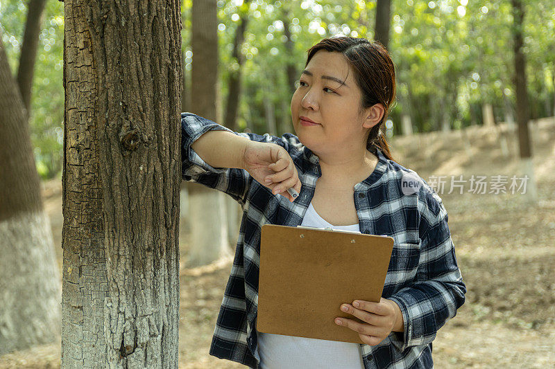 女技术生态学家仰望树梢