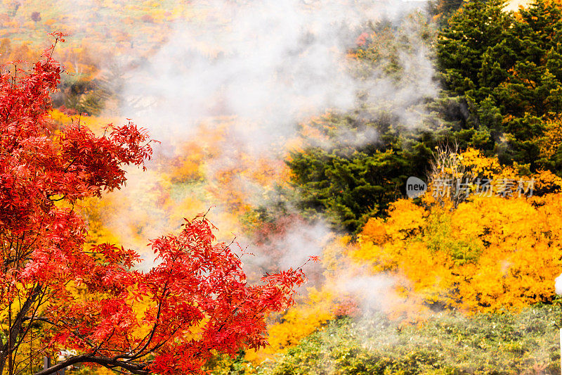 日本北部秋季山区的地热蒸汽喷涌