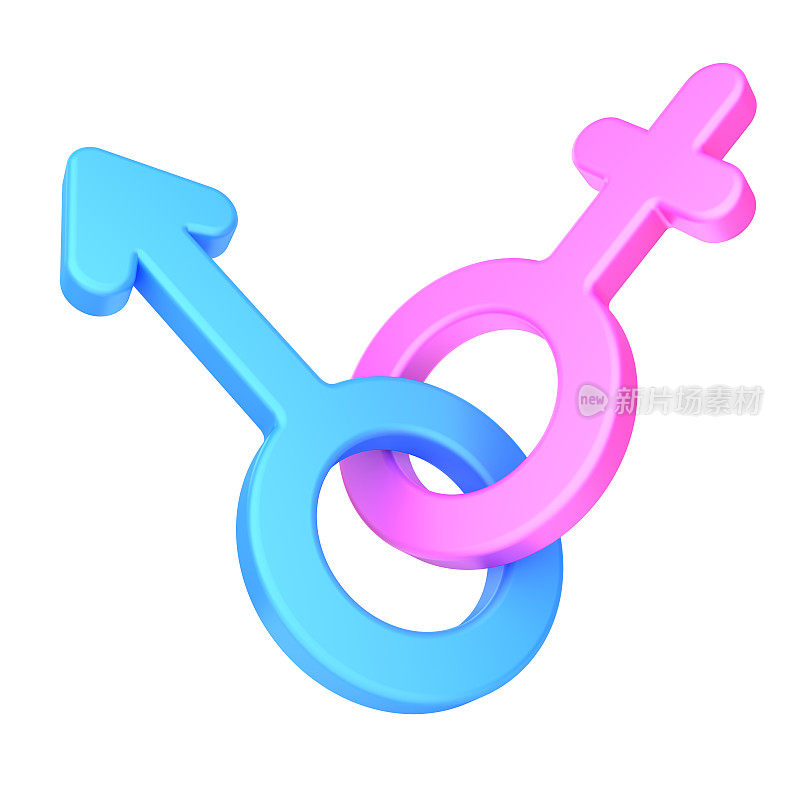 性别符号。男性和女性的标志被隔离在白色的背景上。