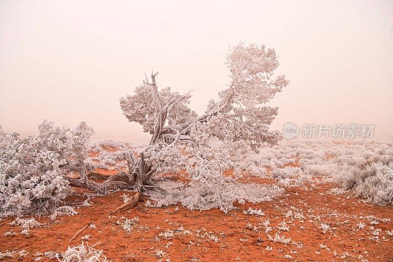 犹他州纪念碑谷的冬天