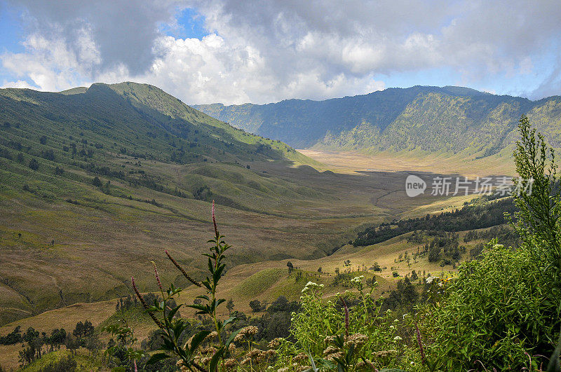 爪哇岛东部的壮观景色。在前往印尼布罗莫火山的途中拍照。