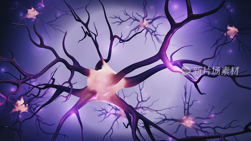 神经细胞的三维图像