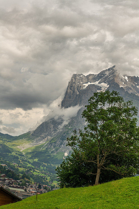 格林德沃的景色，前景是高山草地，背景是雄伟的米特尔霍恩山。阴天的夏天，暴风雨即将来临。瑞士阿尔卑斯山景。