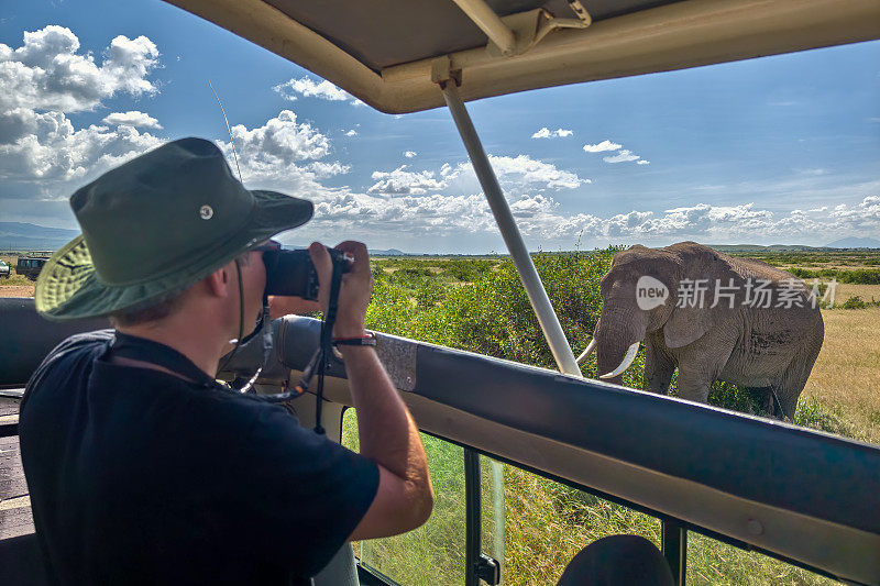 摄影师拍摄非洲大象，野生动物，狩猎狩猎，生态旅游和旅游，南非国家公园