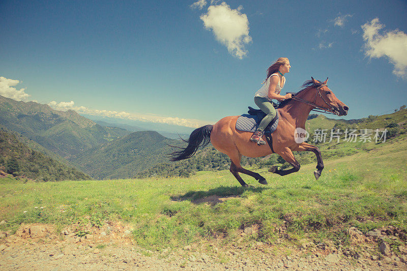 年轻女子骑着棕色的马在户外的山上奔驰