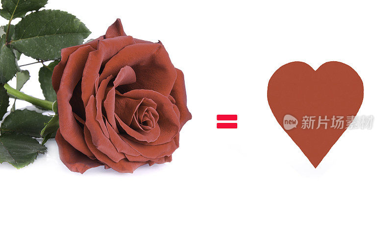 玫瑰代表爱情