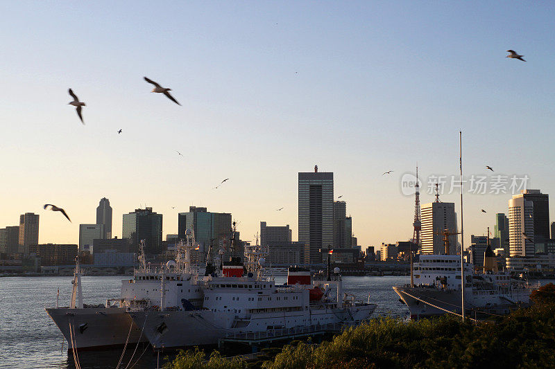 东京湾港