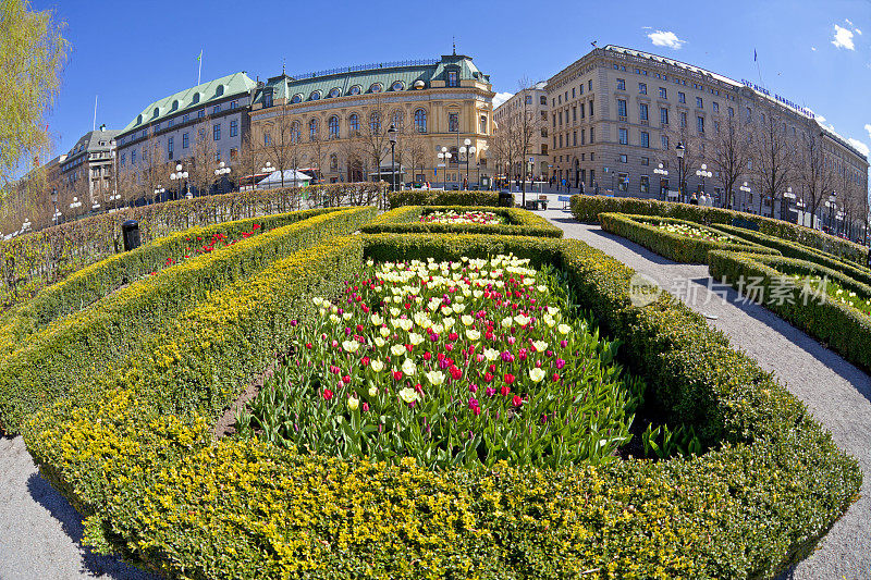 瑞典斯德哥尔摩的郁金香花坛。鱼眼镜头