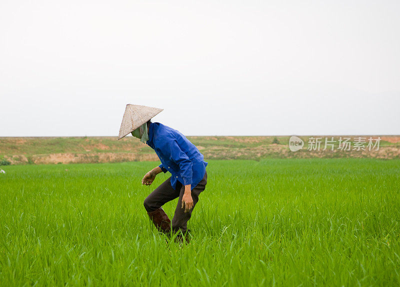 农民在越南