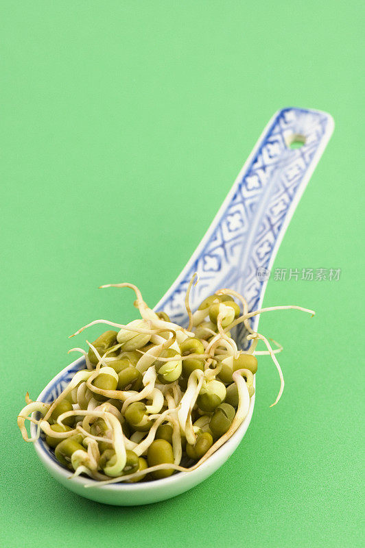 陶瓷勺配新鲜绿豆芽