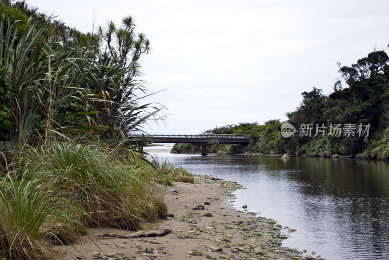 在新西兰西海岸的Paparoa国家公园的河景
