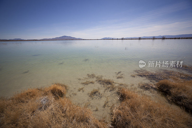 沙漠湖