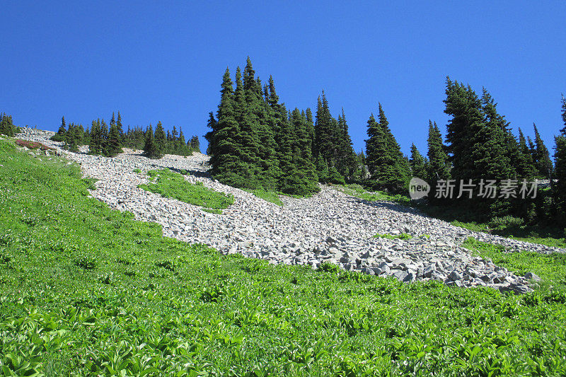 岩石滑过绿色的山坡