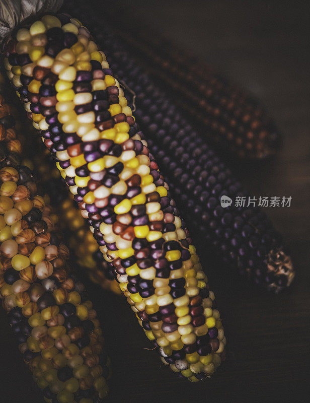在乡村木质背景上的印第安玉米。秋天的装饰