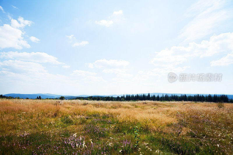 绍尔兰卡勒・阿斯顿的夏日时光