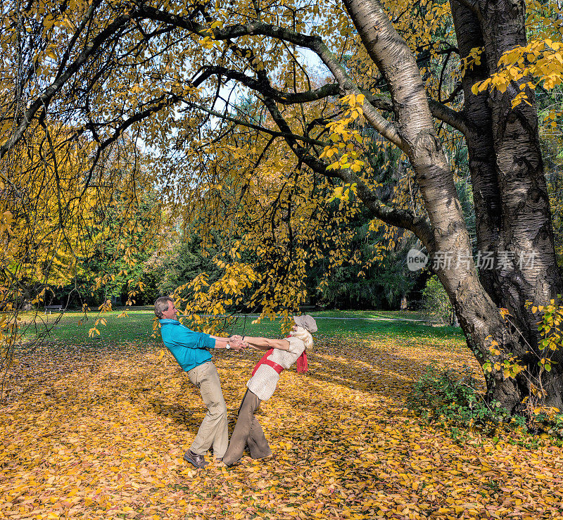 高年级情侣秋天在公园跳舞
