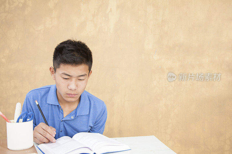 教育。亚洲少年学习，学校作业。
