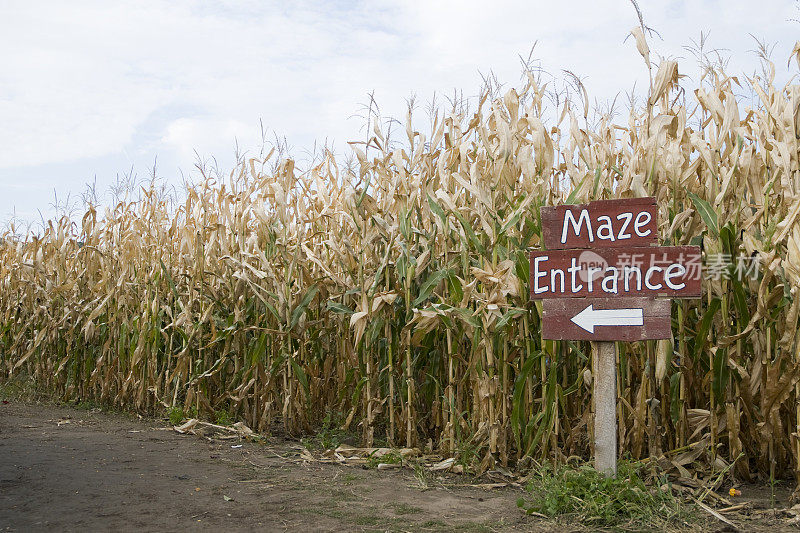 玉米迷宫入口标志