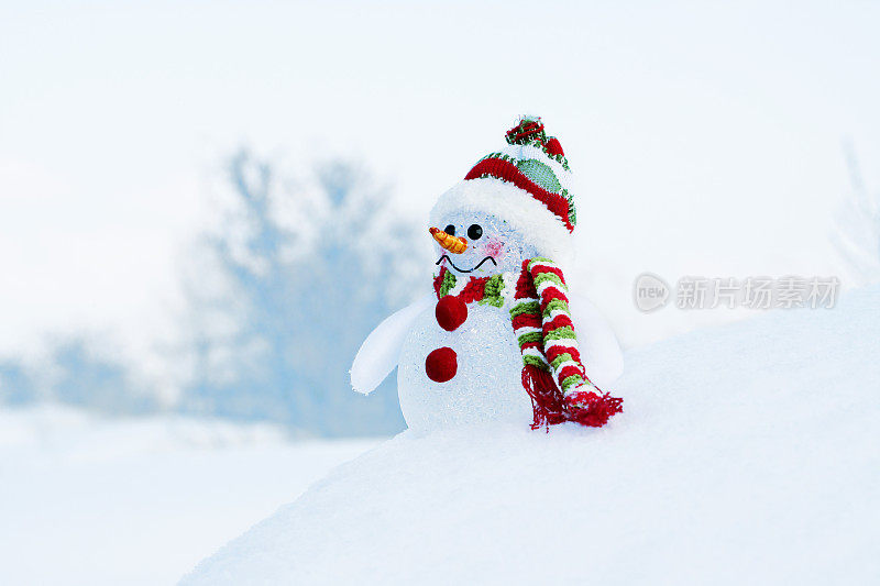 冰冻森林中的雪人