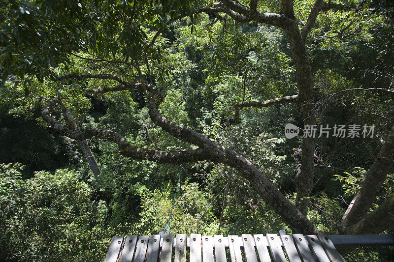 雨林冠层平台