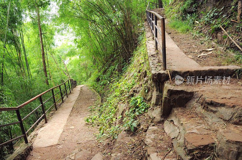 台阶和台阶到山上的竹林