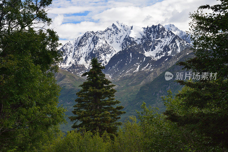 阿拉斯加的雪山