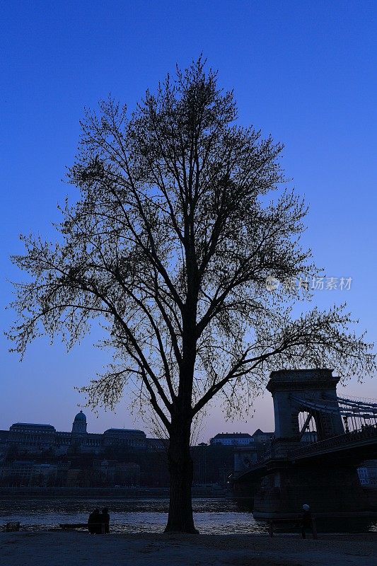 匈牙利布达佩斯的布达城堡和铁链桥