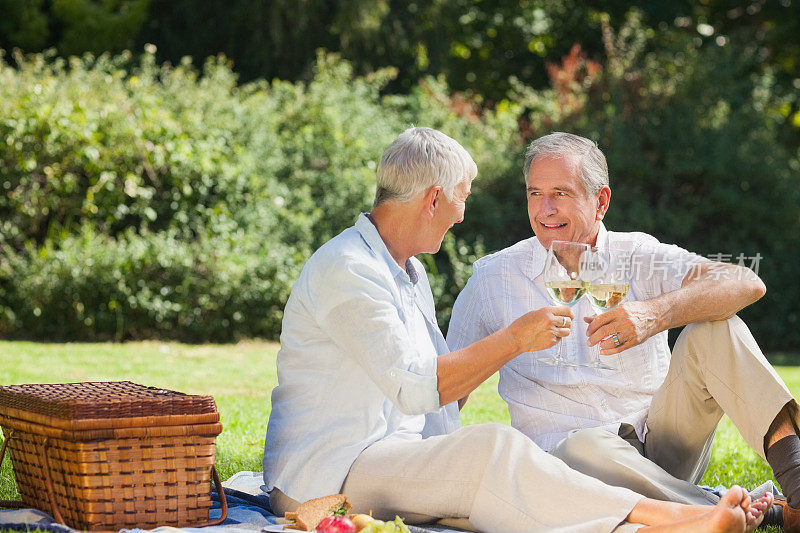 一对恩爱的老夫妇在野餐时喝着白葡萄酒