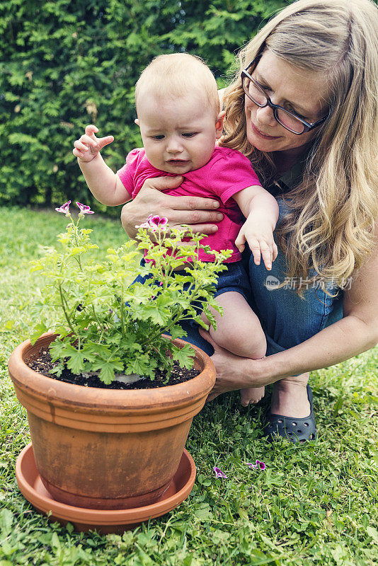 母亲帮助女婴第一次发现鲜花。
