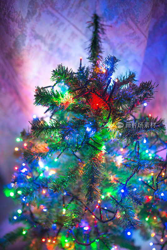 圣诞树在夜晚闪闪发光