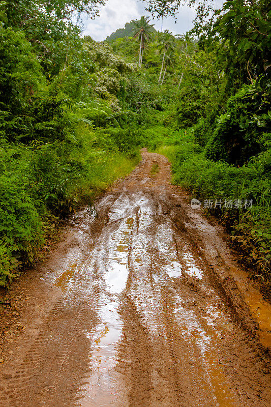 热带雨林的肮脏道路