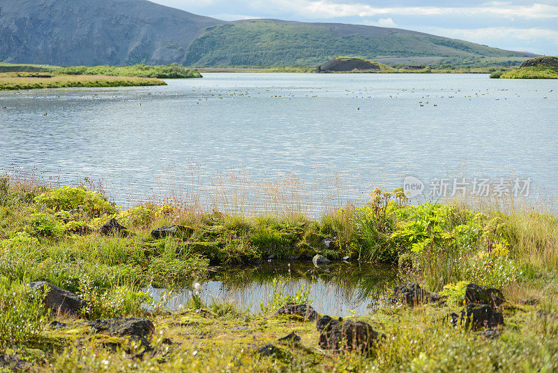 在冰岛myvatn