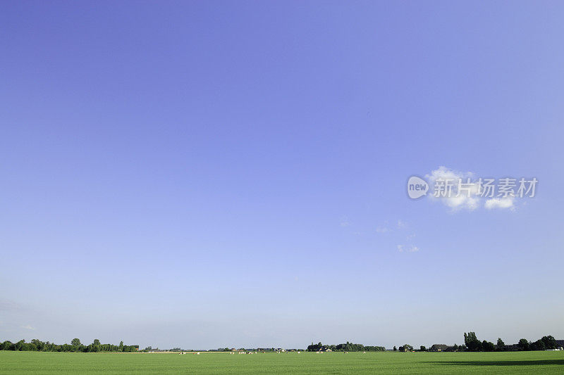 荷兰的夏日风景