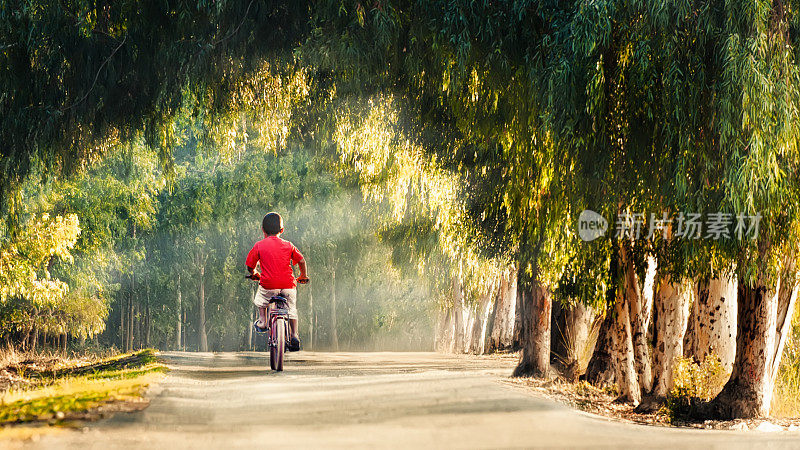 穿过树林的儿童自行车道。
