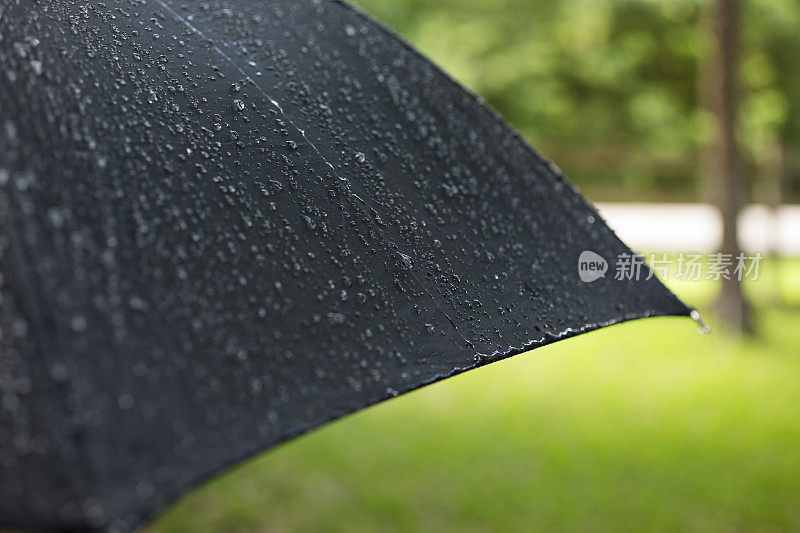 雨天。雨点落在户外的黑色雨伞上。春天,夏天。