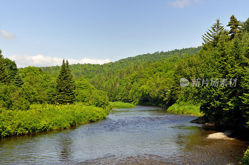 这条河流经茂密的森林地区