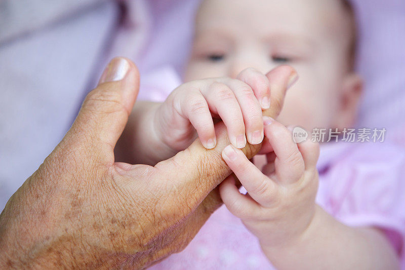 婴儿的手牵着祖母