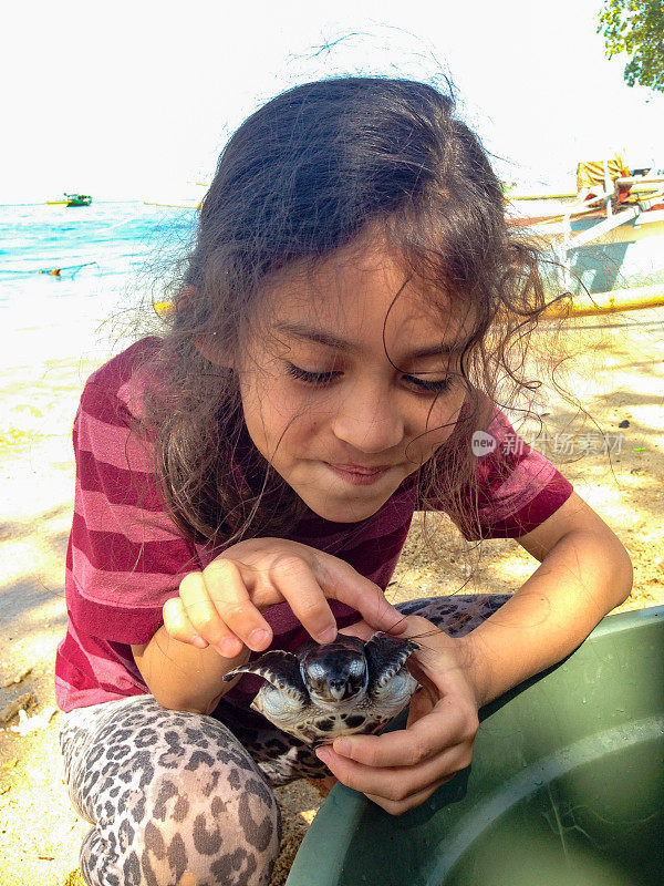 在印度尼西亚的海滩上，女孩抱着小玳瑁海龟
