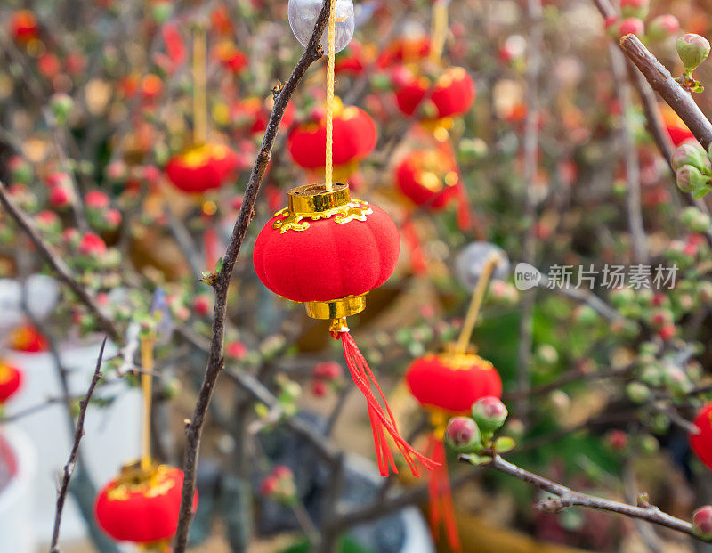 红灯笼是中国新年的装饰
