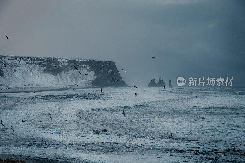 冰岛黑沙滩Reynisfjara的冬季景观