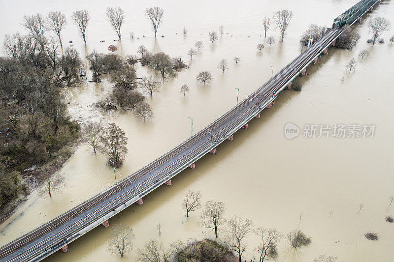 德国莱茵河和美因河被洪水淹没