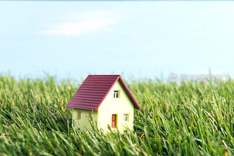 草地上的微型房子