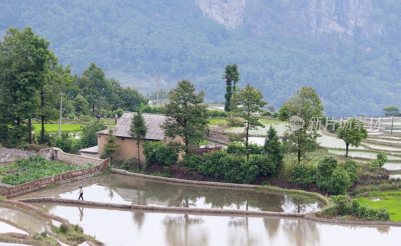 中国云南哈尼族的村庄