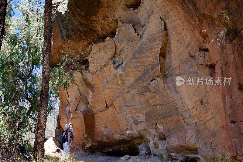 在山林中漫步，看风景