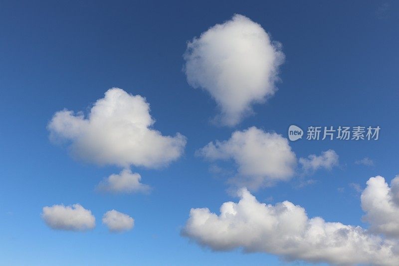 近距离观看，蓝色天空中蓬松的白云的完整画面