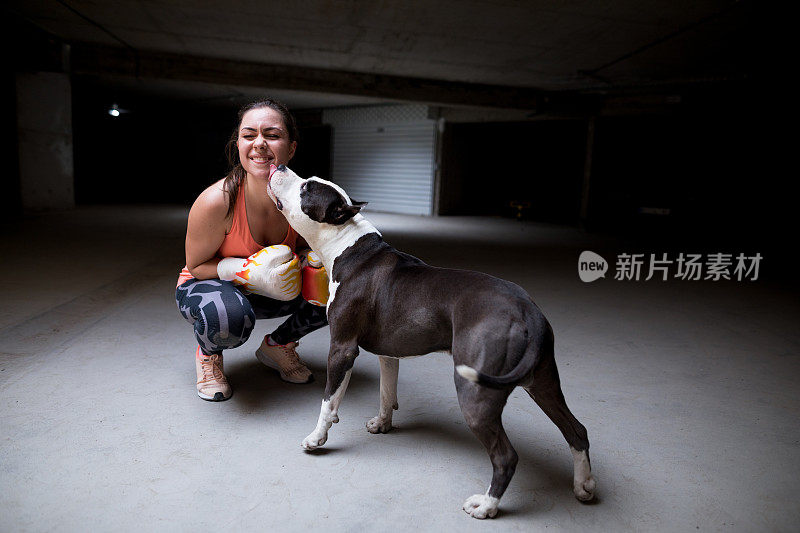 女拳击手和可爱的狗比特斗牛梗