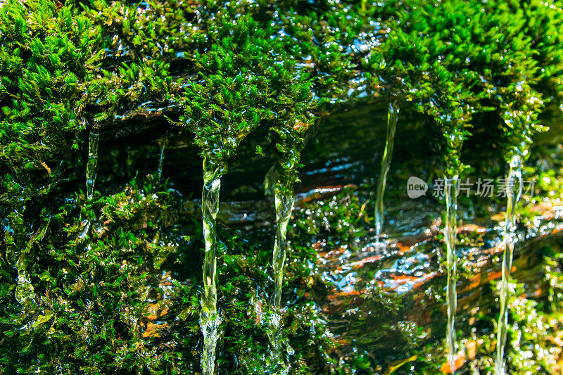 泉水落青苔上