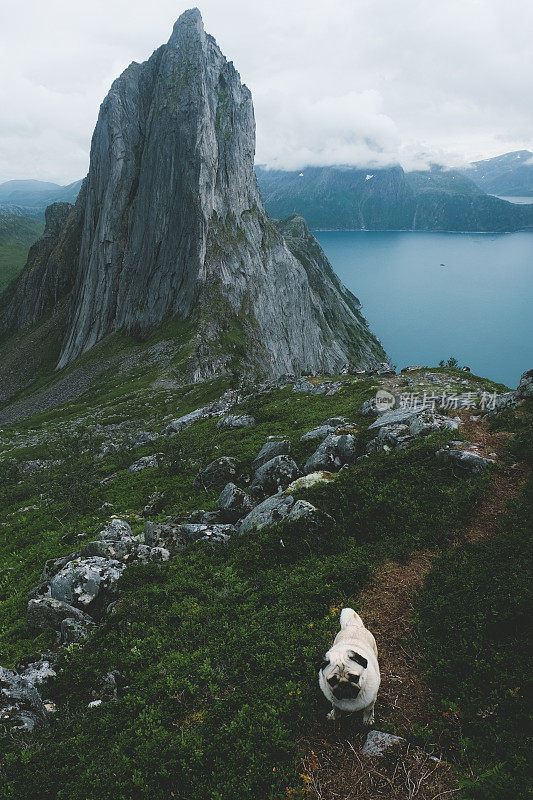 狗狗徒步前往挪威北部的塞格拉山
