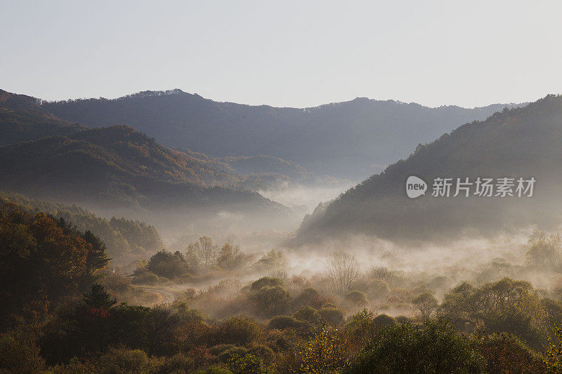 一个多雾的早晨，平静的山谷